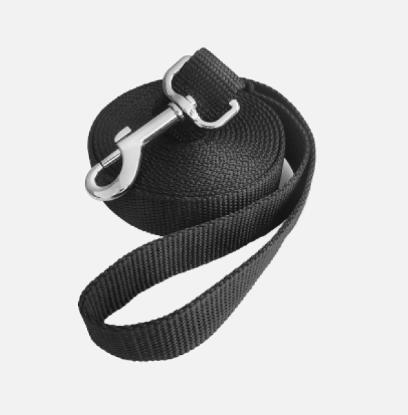 Puppy training kit