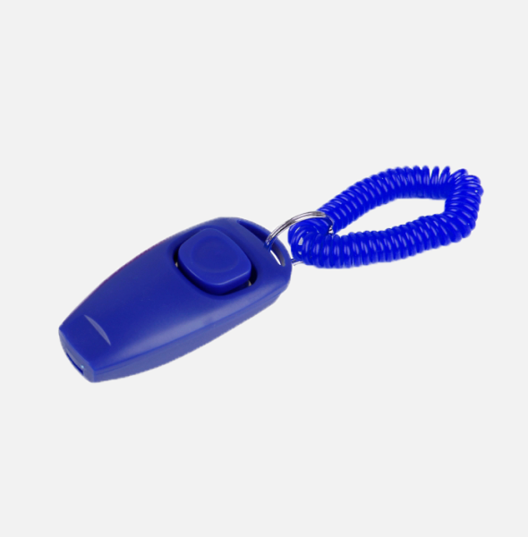 New Puppy Training Supplies – PuppySpot