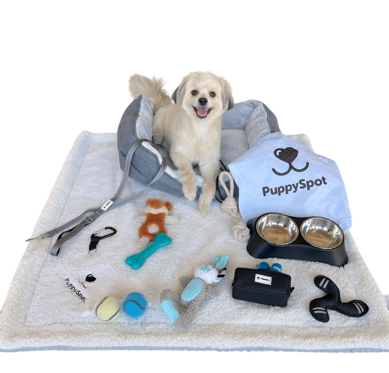 New puppy starter kit