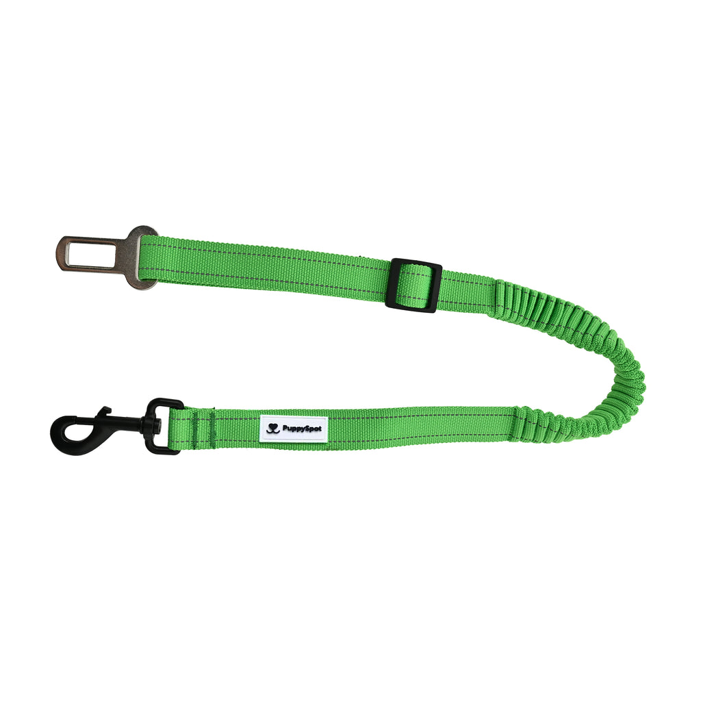 Puppy travel car kit