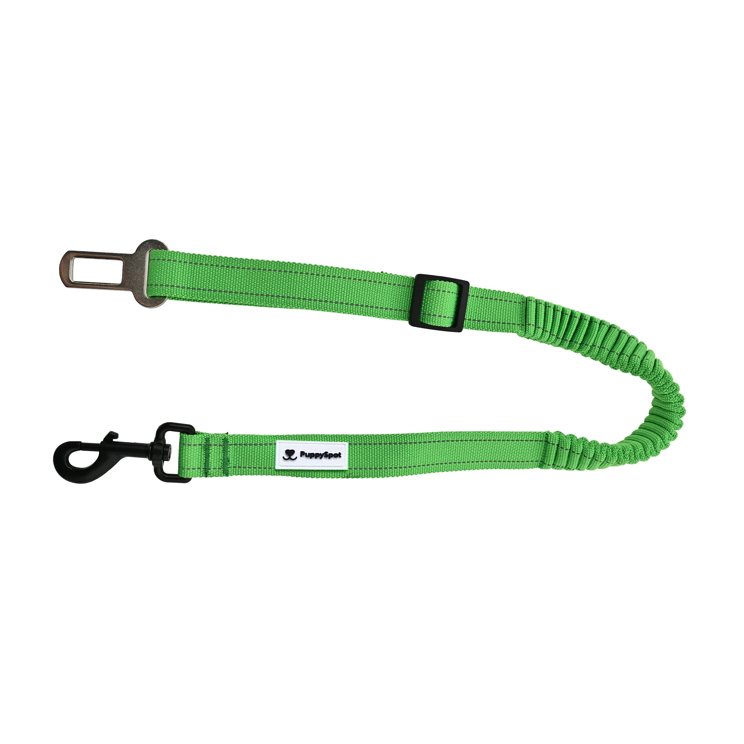 Puppy travel car kit